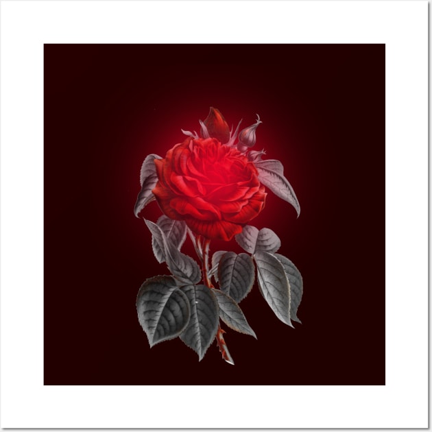 Blood red vampire rose Wall Art by pickledpossums